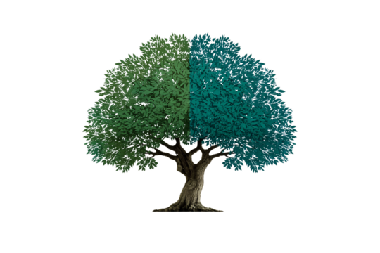 Beautiful tree with gradient foliage transitioning from green to teal blue in natural style, isolated on a transparent background