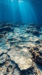 Heavy metal deposits cover the ocean floor, showcasing the environmental degradation caused by industrial pollution. This stark evidence highlights the urgent need for marine conservation efforts