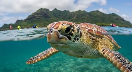 Fototapeta premium Majestic Green Sea Turtle Gracefully Navigating Crystal-Clear Waters of a Tropical Paradise