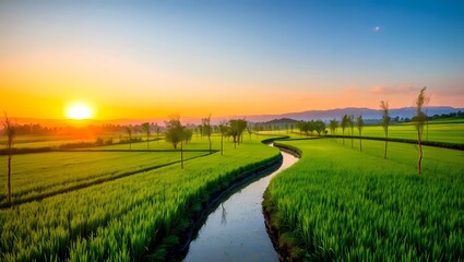 sunset over the river