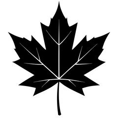 maple leaf silhouette on white background