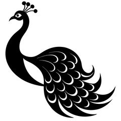 Obraz premium peacock vector illustration