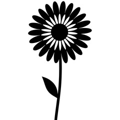 single daisy flower on white background .svg