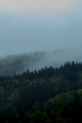 Waldlandschaft mit Hügeln und bewölktem Himmel.

Weite Landschaftsaufnahme mit saften Hügeln, bewaltede Flächen und einem dramatisch bewölktem Himmel. Vermittelt wird eine ruhige und tiefe Atmosphäre.
