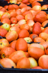 tomato crate plastic black, Plum, San Marzano or Roma Tomatoes in black crate, Bunch of fresh red tomatoes in black plastic crate in market.