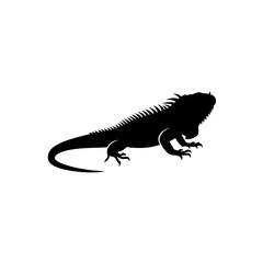 Obraz premium Lizard silhouette on white background for design and branding 