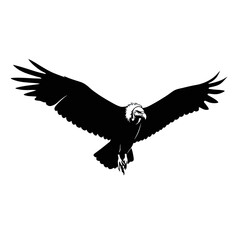 Fototapeta premium Eagle silhouette flying with wings spread wide 