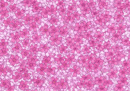 シームレスな芝桜の背景素材