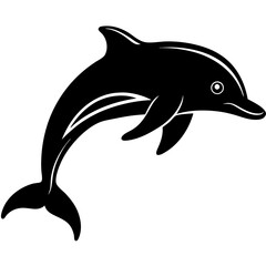 Obraz premium dolphin jumping on white background 