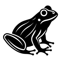 frog sitting on white background
