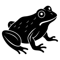 frog sitting on white background .svg