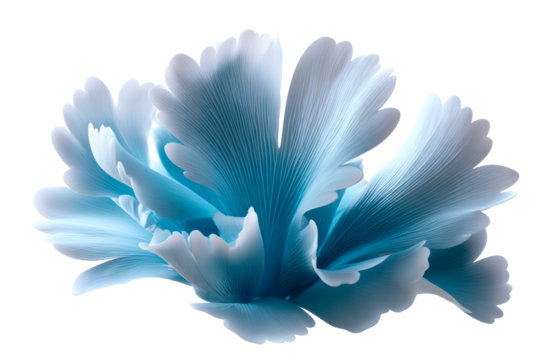 Delicate blue flower with soft petals and transparent background