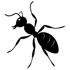 ant marching on white background .svg