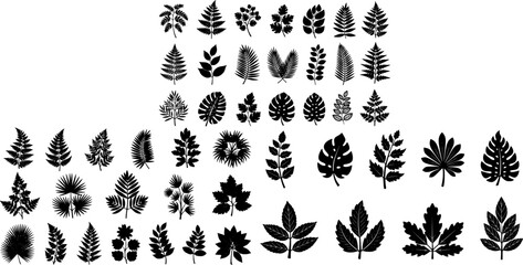Fototapeta premium Icon collection of black plant silhouettes illustrating various leafy designs for decorative purposes 