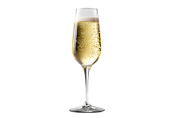 Sparkling drink in a fluted glass on transparent background