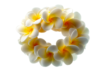 Elegant white and yellow flower lei on transparent background