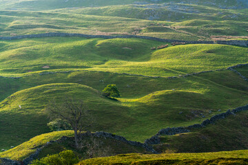 Aerial view of undulating meadow landscape 
