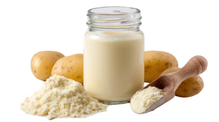 Potato starch and flour with wooden scoop and glass jar filled with potato milk forming a nutritious and healthy vegan ingredient composition on a transparent background