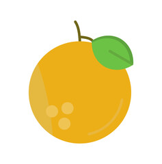 Orange Vector Icon