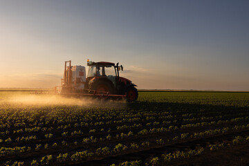 Fototapeta premium Tractor spraying soybean crops field