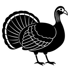 turkey for thanksgiving on white background .svg