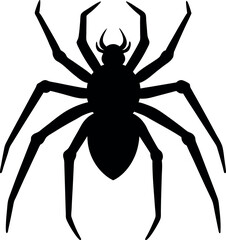 Obraz premium spider isolated on white background