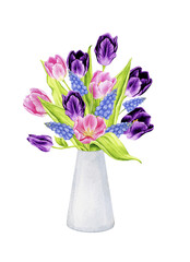 Bouquet of spring flowers in a vase:  tulips and muscari. Watercolor design element for cards, invitations, etc. Spring, Mother's Day, Wedding, Women's Day, Birthday. Hand drawn illustration.
