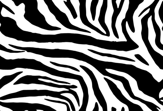 Black and white seamless zebra and tiger stripe pattern , art, wild