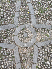 Cobblestone Street with Grass