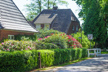 Wohngebäude im Grünen im Frühling,  Bad Zwischenahn, Niedersachsen, Deutschland