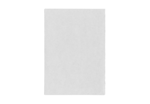 Paper piece isolated on background. Old sheet torn blank texture. Card board ripped template white with ragged edges.