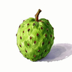 Bumpy Bloom noni fruit isolated watercolor vector illustration svg