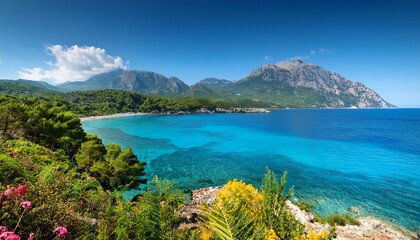 Obraz premium breathtaking coastal landscape with mountains clear blue water and lush greenery