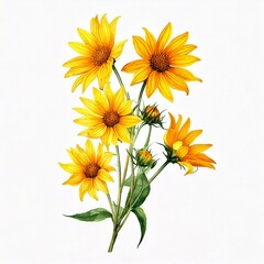 Obraz premium Bouquet with yellow wild sunflower flowers (Helianthus tuberosus, sunroot, sunchoke, Jerusal.jpg