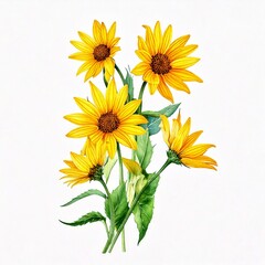 Obraz premium Bouquet with yellow wild sunflower flowers (Helianthus tuberosus, sunroot, sunchoke, Jerusal.jpg