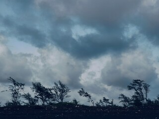 storm clouds over the forest