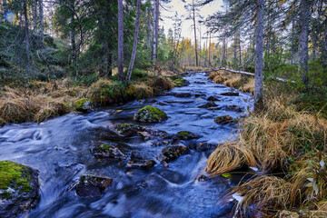 river in forest in autumn
