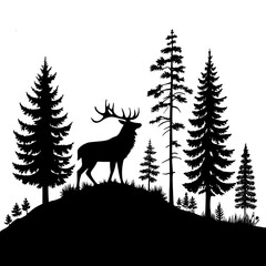 deer in the forest