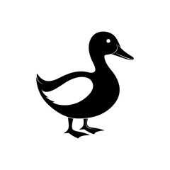 Duck Couple Silhouette Image