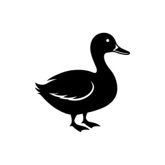 vector illustration of a duck
