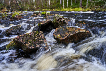 waterfall in the forest