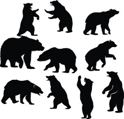 Silhouette wildlife bear
