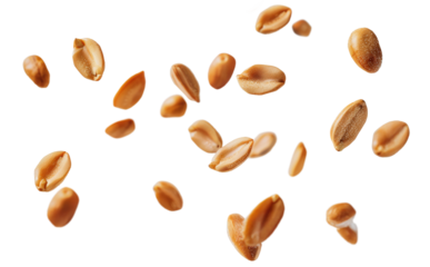 Floating roasted peanuts scattered in the air with a bright transparent background during a snack preparation