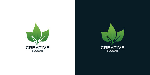 leaf logo design vector	