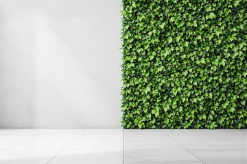 Dense ivy leaves covering half of a vertical wall beside a plain white surface, on a white tiled floor background, concept of eco-friendly interior, Ai generative