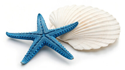 starfish and seashells and white background