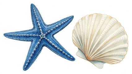 starfish and seashells and white background