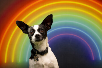 Bright Eyes and Rainbow Skies