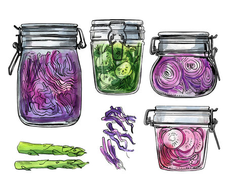 Jars with fermented vegetables. Tomatoes and cucumbers in a glass jar. Watercolor illustration of food on a white background. Color and ink