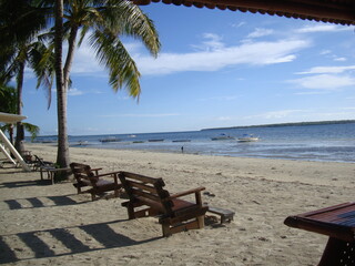 tropical beach with palm trees